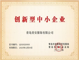 创新型中小企业